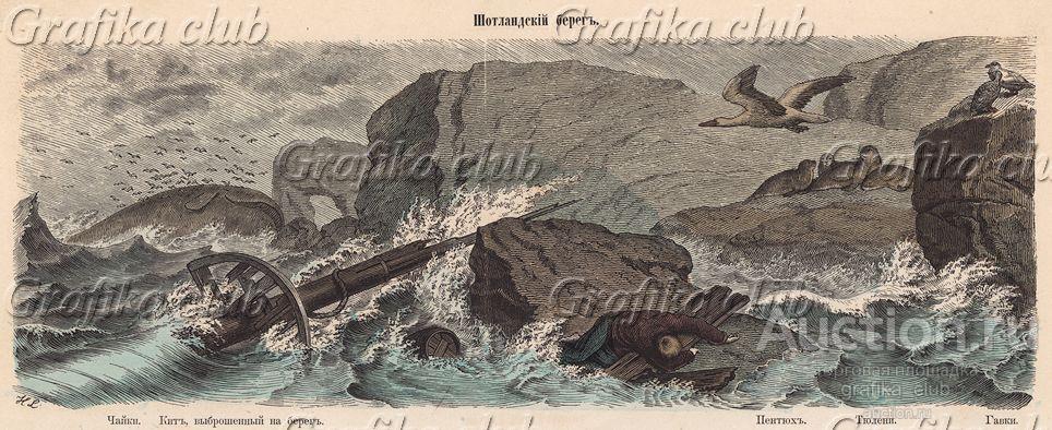 Шторм у побережья Шотландии. Гравюра из издания