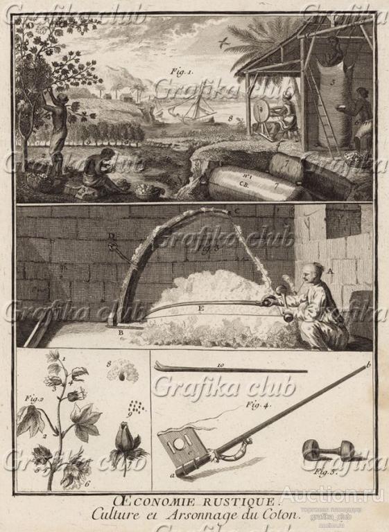 Сельское хозяйство. Культивация и обработка хлопка