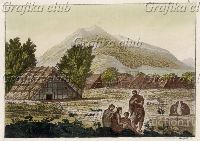 Хижины жителей Новой Зеландии (из работы Джулио