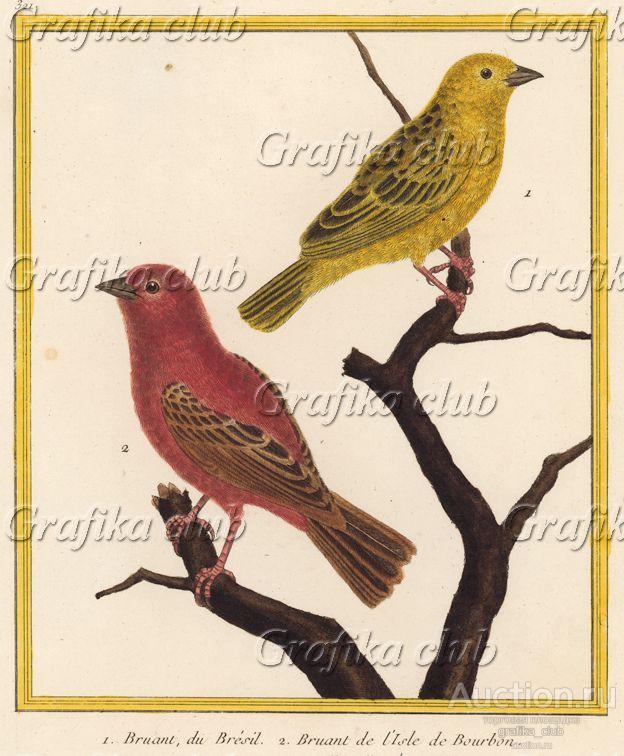 Милейшие овсянки с разных концов света (из Table