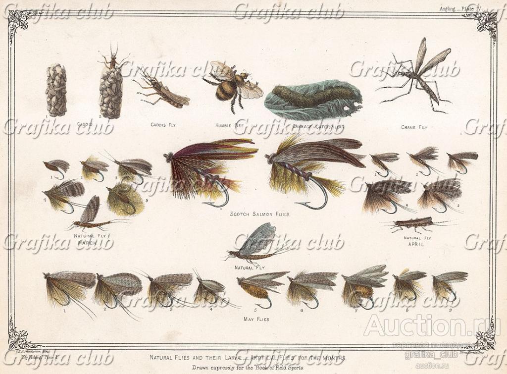 Рыболовные крючки и насекомые, используемые для