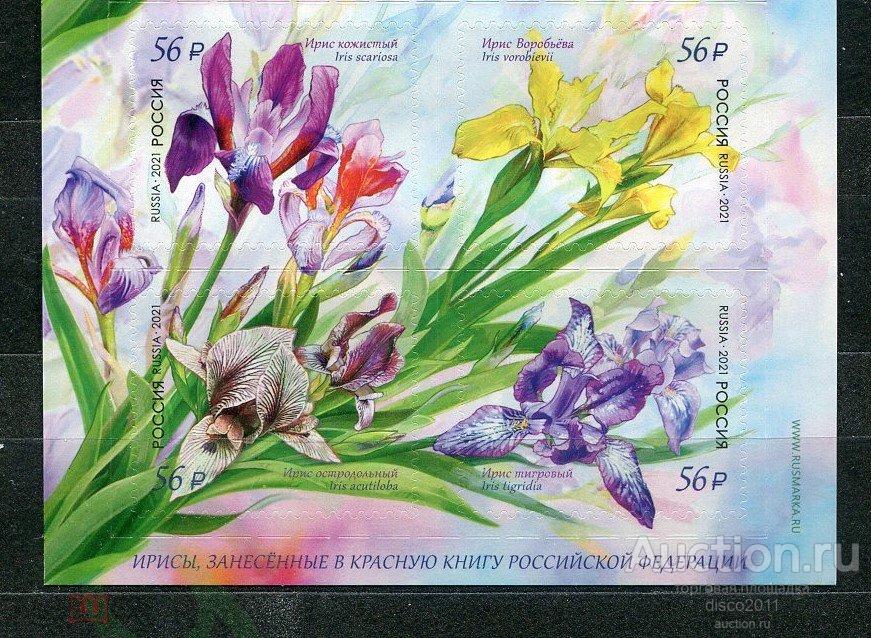 Россия 2021 Ирисы Цветы Флора сцепка**