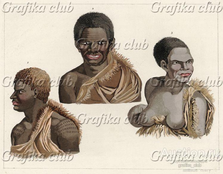 Типы жителей Новой Голландии (официальное название