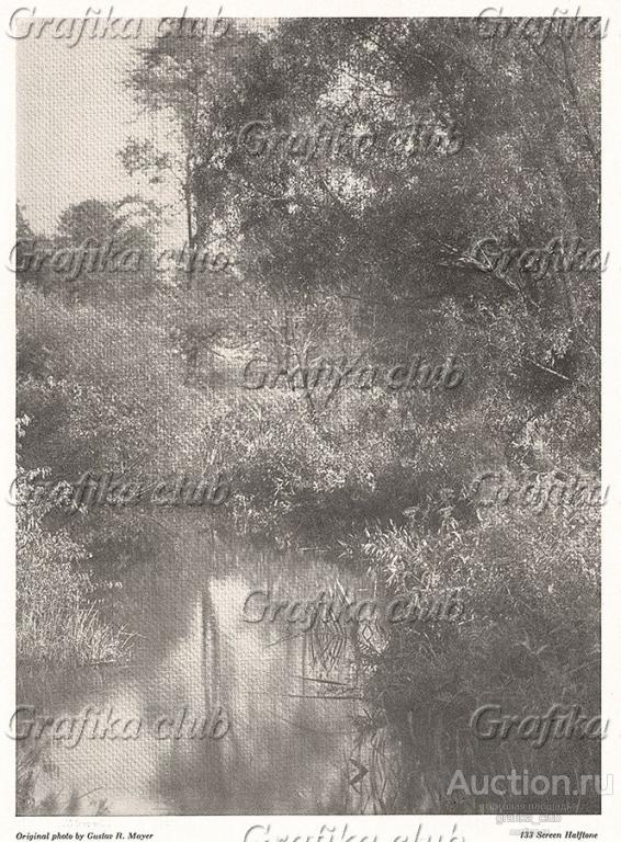 Лесной пруд. Репродукция фотографии Густава