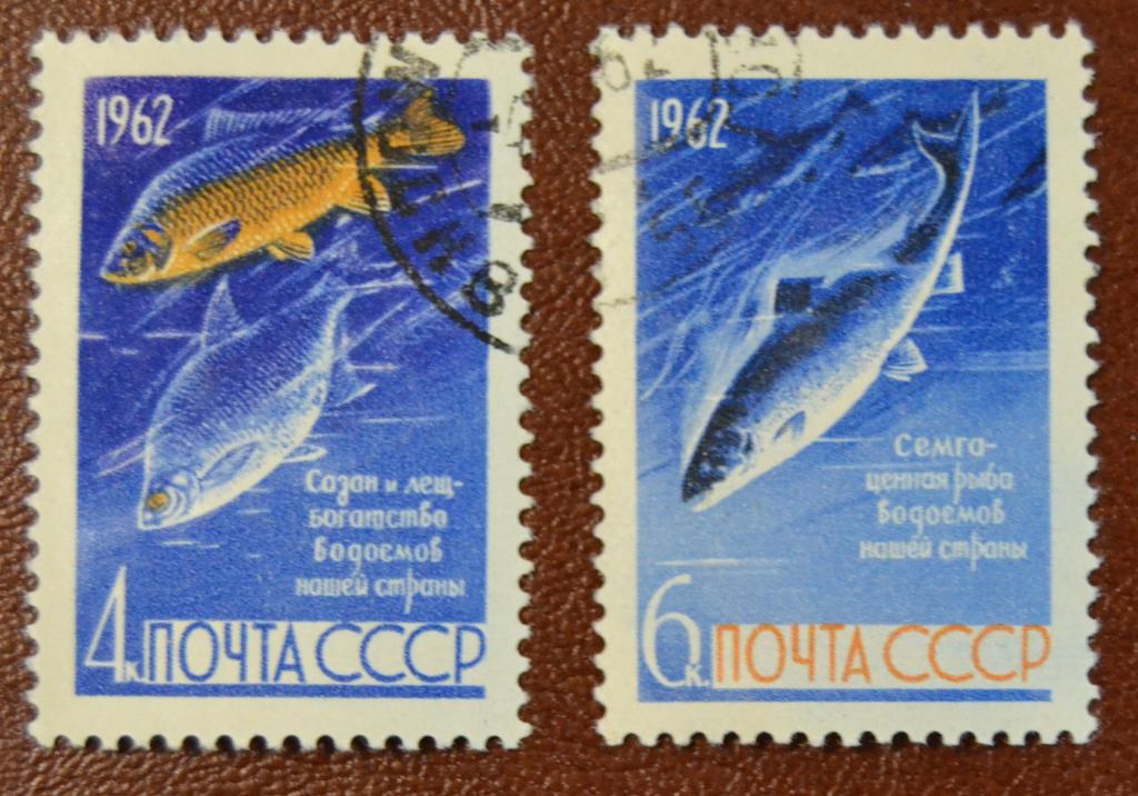 СССР 1962 год Ценные Промысловые рыбы Семга Лещ и Сазан Гаш