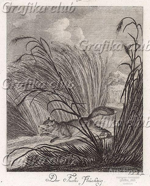 Бегущая лиса. Гравюра Иоганна Элиаса Ридингера