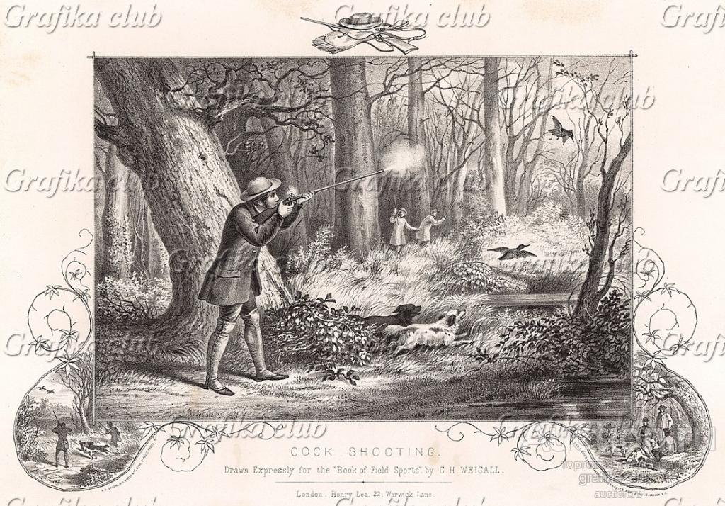 Утиная охота в Англии. The Book of Field Sports