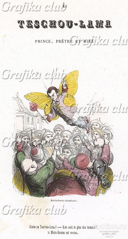 Тесчоу-лама в обличии апельсиново-лимонной бабочки