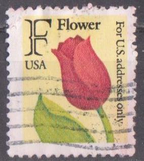США 1991 г. Флора Цветок Тюльпан гаш.