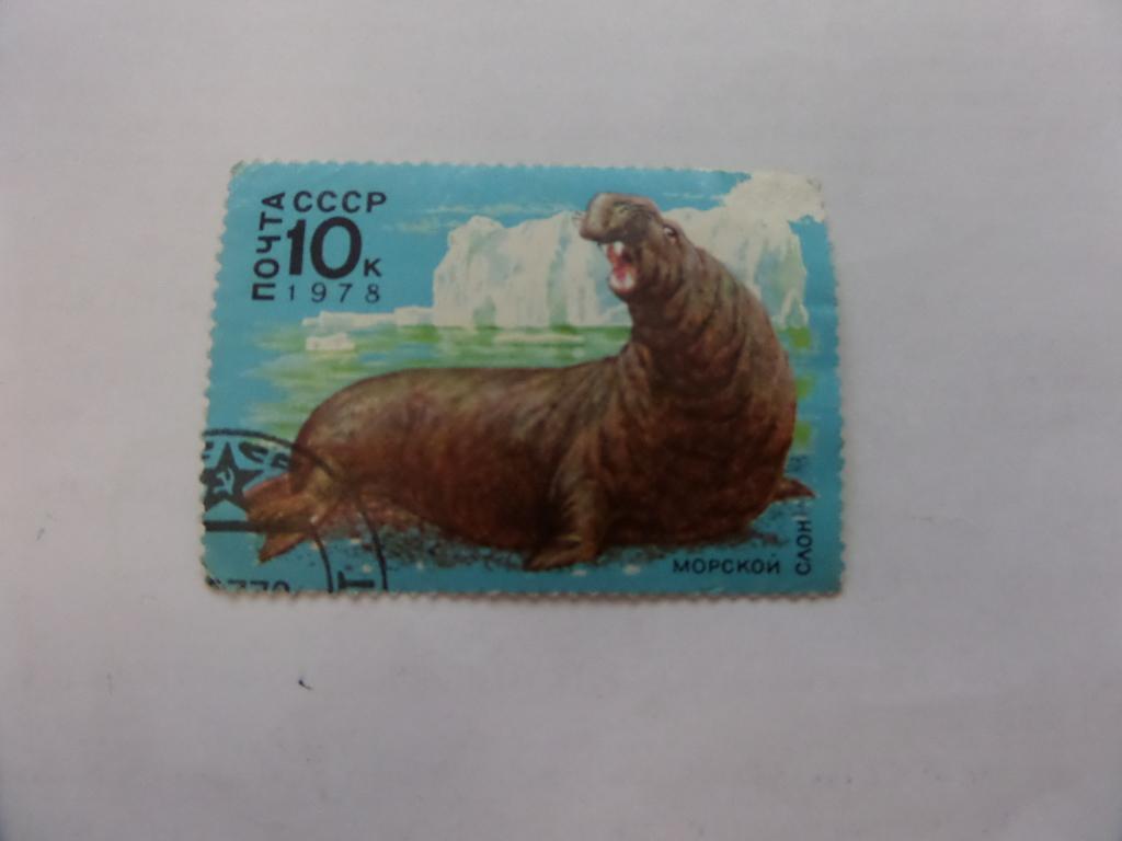 МАРКА МОРСКОЙ СЛОН 1978 СССР