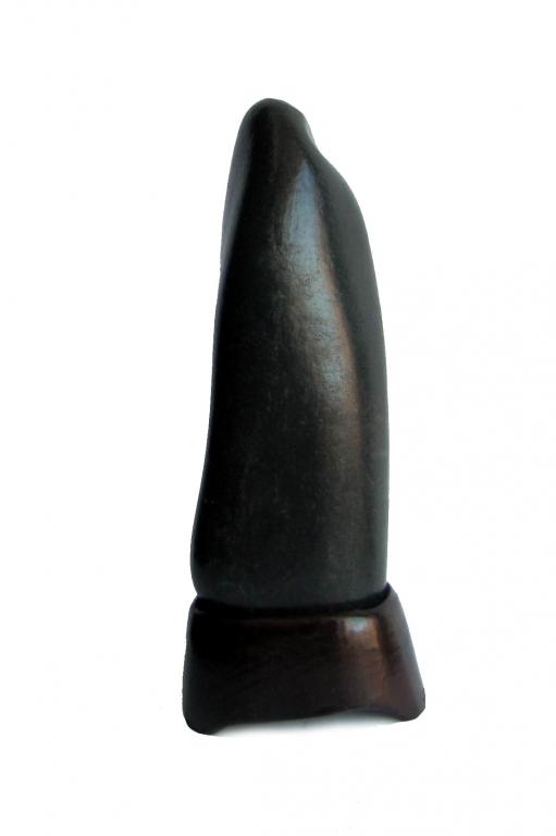 СУЙСЕКИ "МОНАХ"  ШУНГИТ