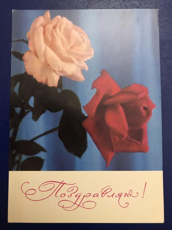 Поздравляю!. Фото Г.Костенко. 1973 г. СССР. Чистая.