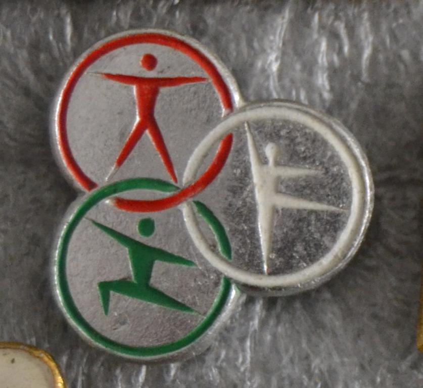 Спортивная гимнастика знак