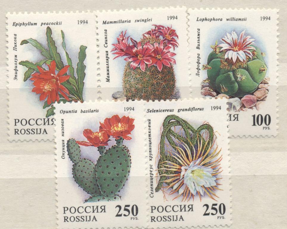 Россия 1994 г. серия  Кактусы Цветы   негашеная**