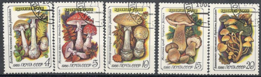 СССР, 1986,  № 5655-5659,20 руб (Загорский), гаш, полн., грибы
