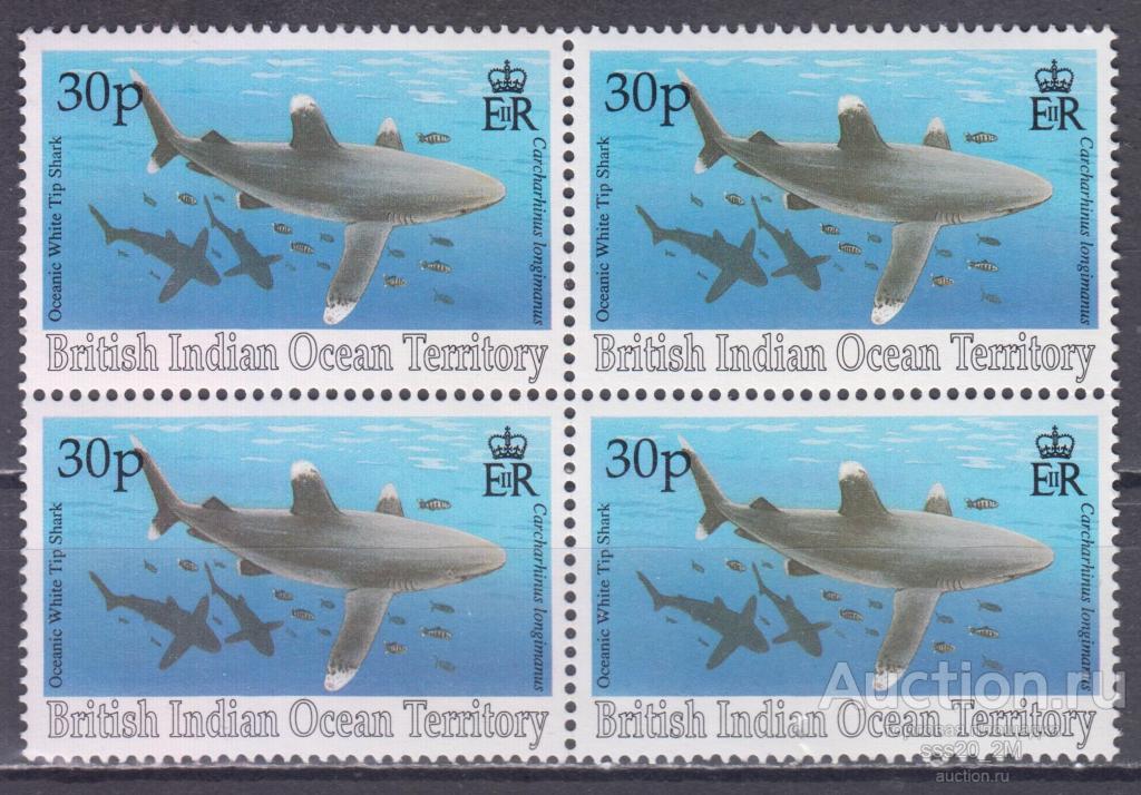 Британские территории в Индийском океане 1994 длиннокрылая акула Mi161 MNH квартблок