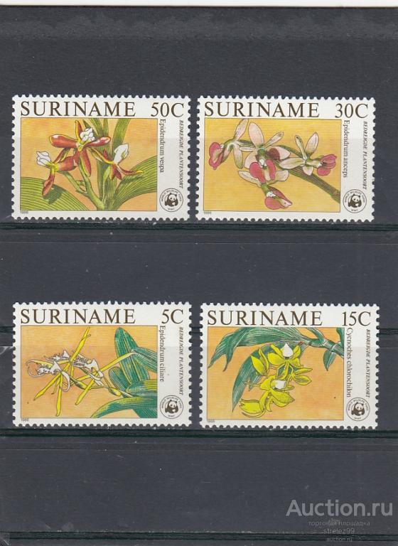 SURINAME  СУРИНАМ   Флора Цветы Серия  1986  50 Евро   Сост**