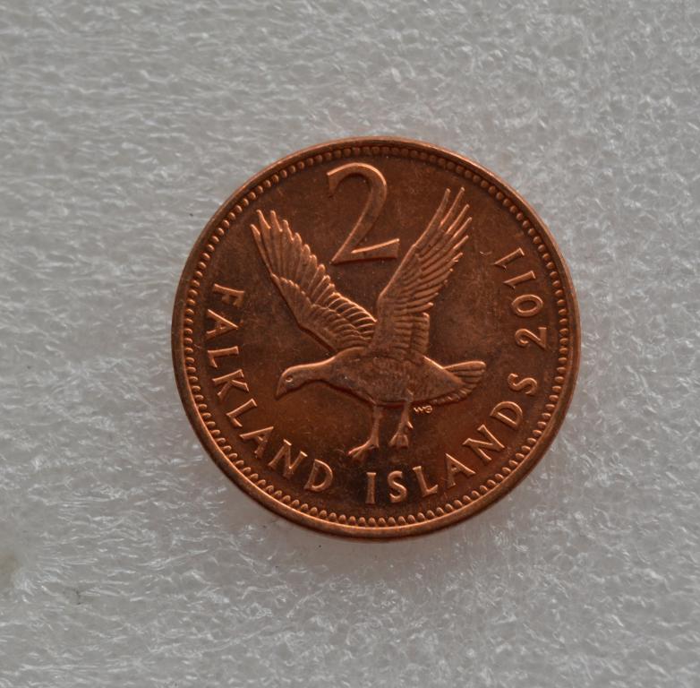 Фолклендские острова 2 пенса 2011 год - Фауна  Магелланов гусь UNC