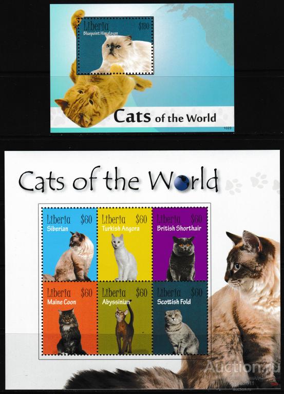 Либерия 2010 Кошки Домашние животные Фауна к/боген+бл**