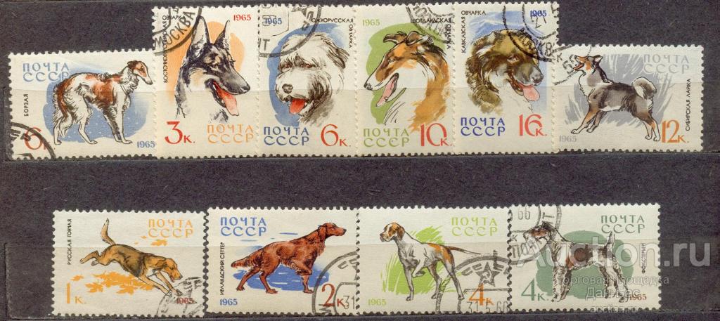СССР 1965 СК 3073-82   собаки