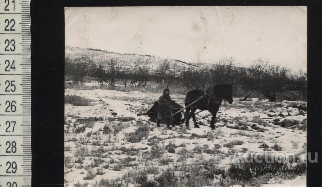 Магадан Чукотка Якутск Чукча лошадь сани