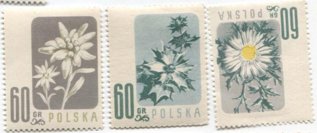1957 Польша Цветы.5м.2 скана.*