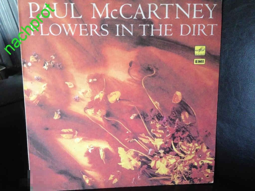Paul McCartney flowers in the dirt Пол Маккартни 
