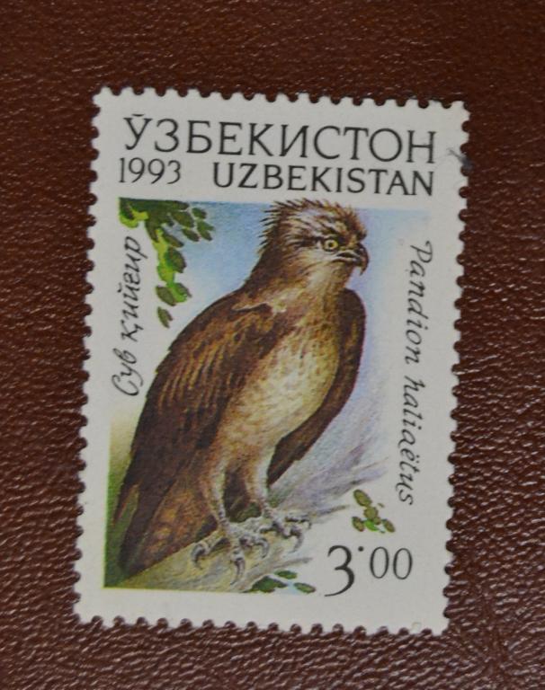 Узбекистан 1993 г. Орел Фауна Птицы MNH