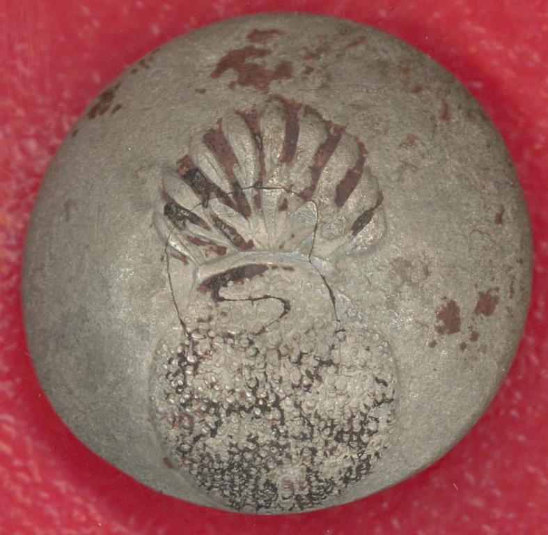 Россия пуговица Кавказская гренадерская дивизия РИА