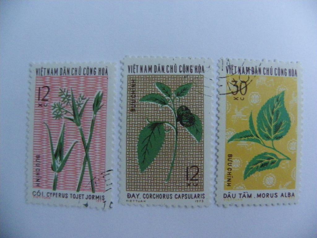 Вьетнам (ДРВ) Культивируемые растения. Серия полная