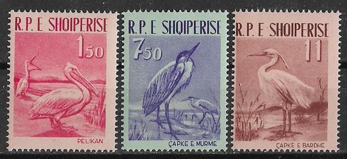 Албания 1961 г. Фауна Птицы **