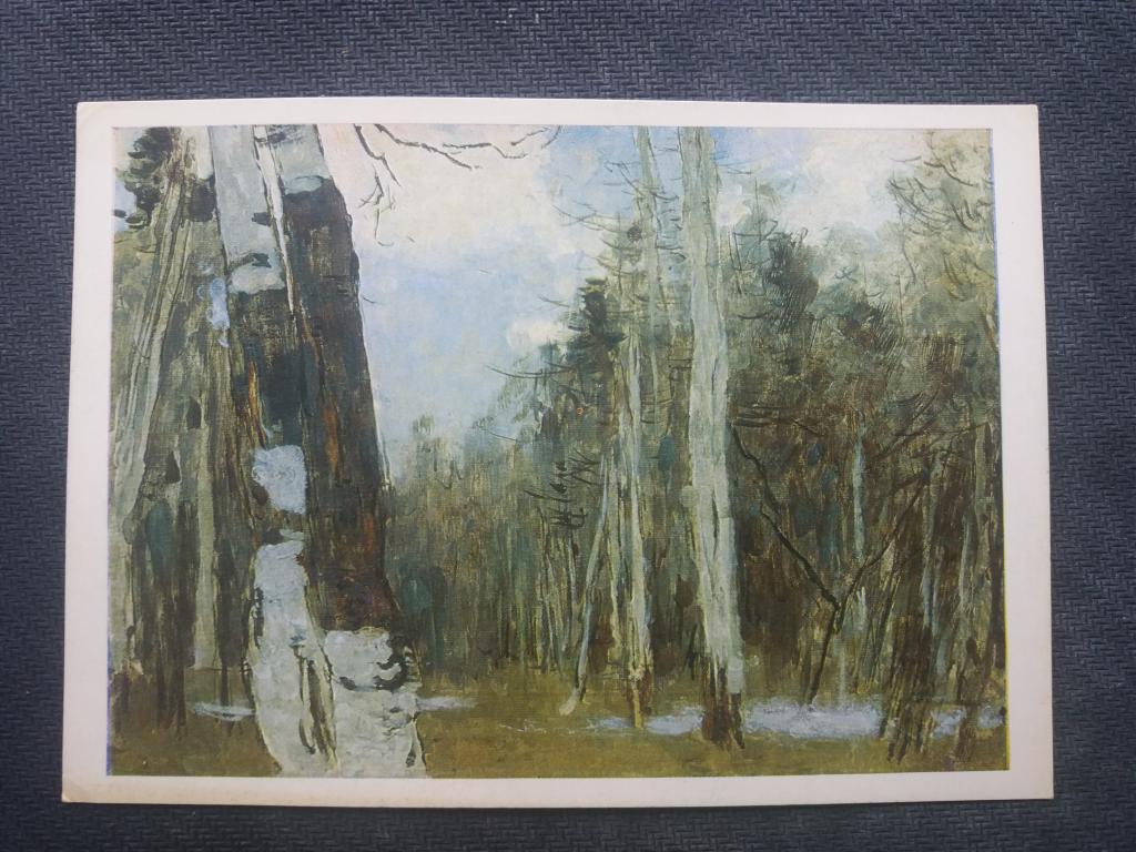 Худ.   С.В.Герасимов .  Стволы берёз   .   Изд.  " ИИ "  . 1970 год