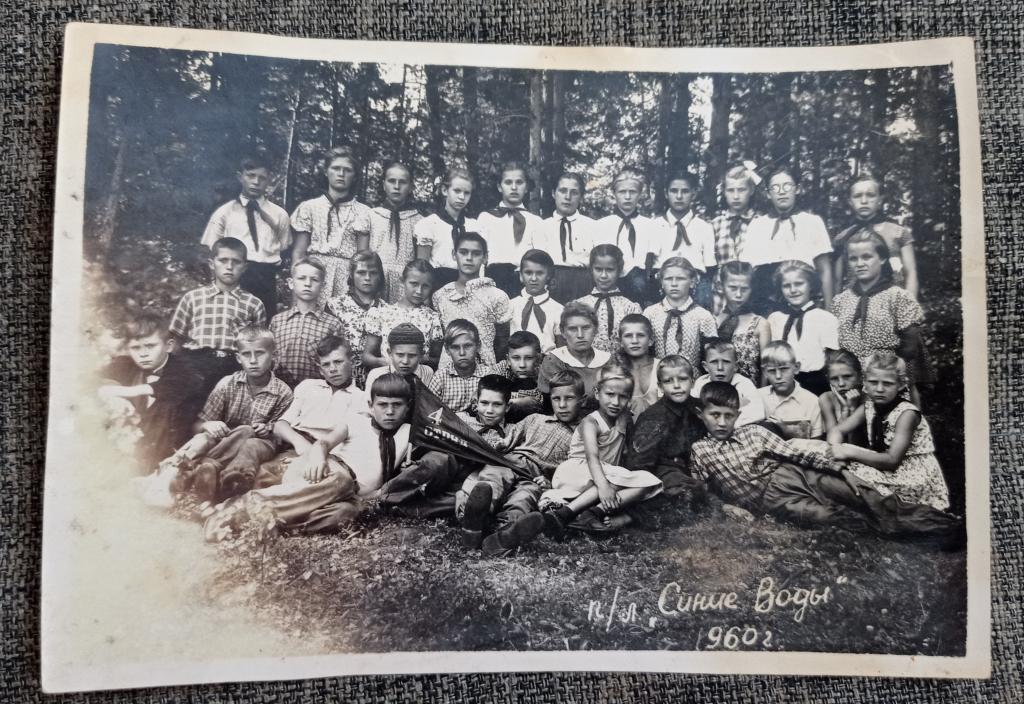 Фото, фотография, 1960 г., Пионерский лагерь " Синие воды ", 4 отряд с флагом, СССР