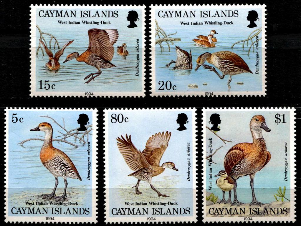 1994 г Кайманы каймановы фауна птицы утки MNH чист