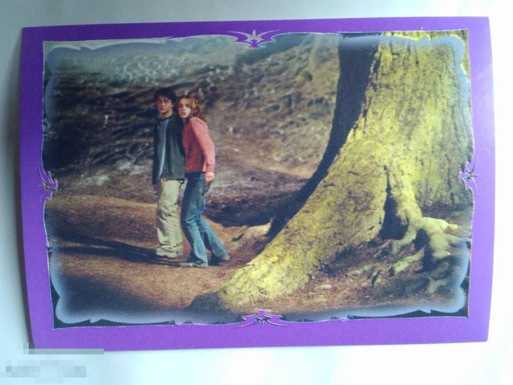 Наклейка Harry Potter and the Prisoner of Azkaban №205 