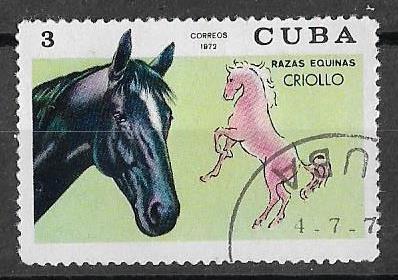 Куба 1972 г. Фауна Млекопитающие Лошади, гаш.