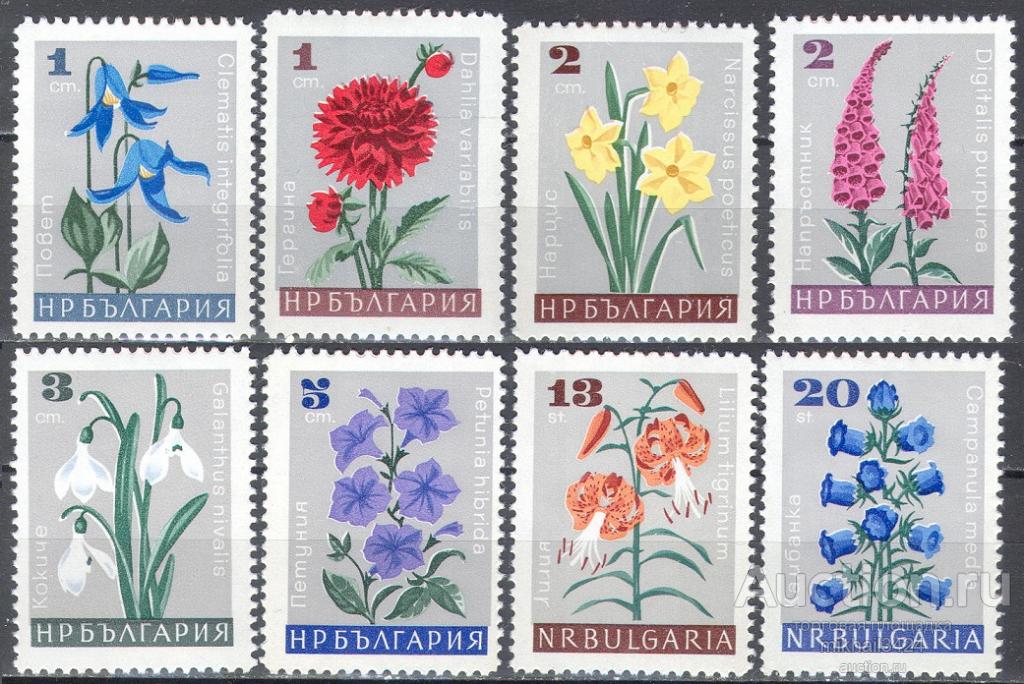 Л0507 ✅ Флора Растения Полевые цветы 1966 Болгария 8м п/с ** 5МЕ
