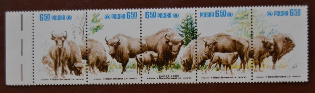 Польша 1981 год Фауна Защита природы Зубры. м.№2764-68 Сцепка MNH