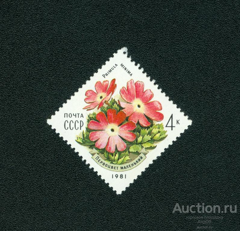1981 г. Цветы украинских Карпат. Первоцвет маленький ** (s825)