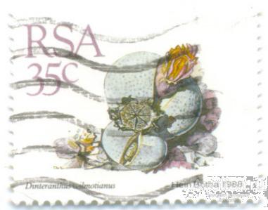 ЮАР 1988 кактус лот-20016