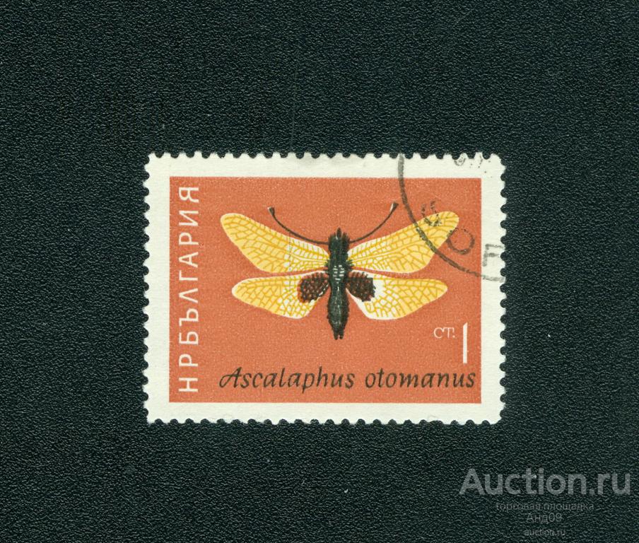 1964 г. Болгария – Бабочка. Совушка * (s817)