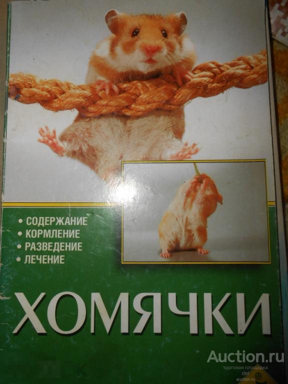 Хомячки, содержание и прочее, Аквариум, 2004, зоо, о хомячках 