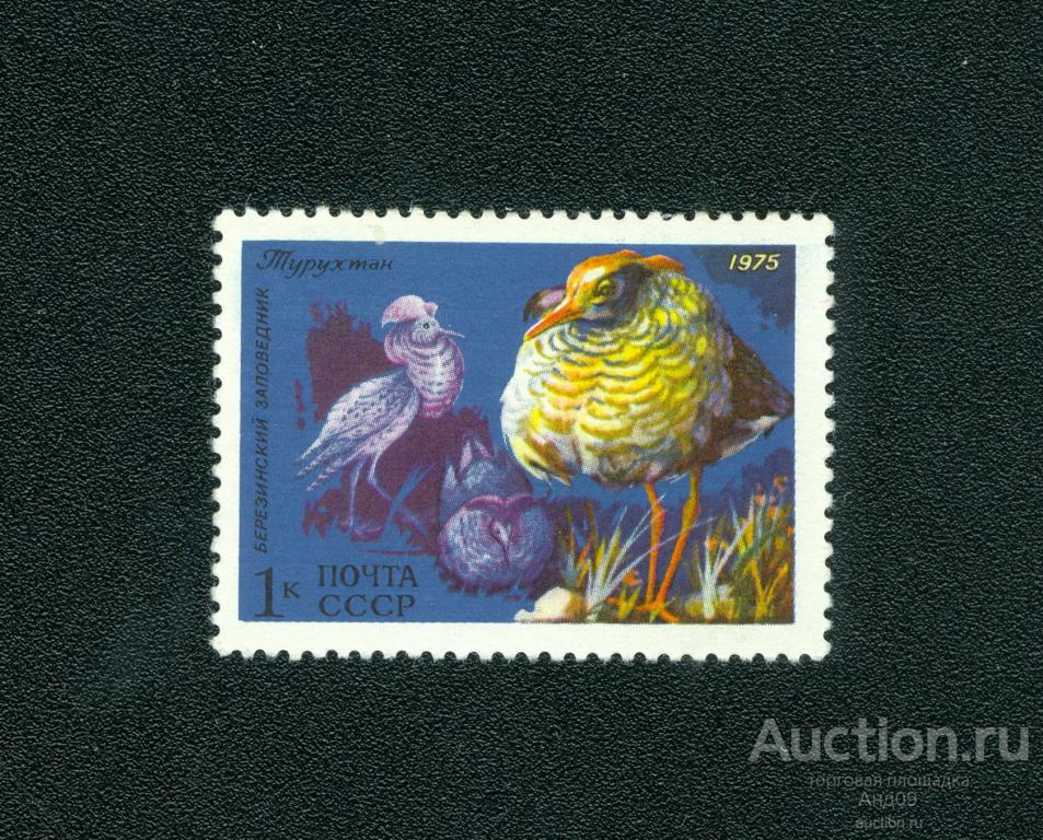 1975 г. Фауна СССР. Турухтан ** (s857)