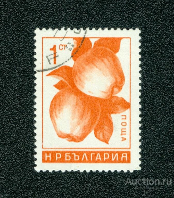1965 г. Болгария – Яблоки (s923)