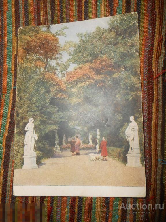 Открытка, Ленинград, Летний сад,1955, открытое письмо, ИЗОГИЗ, Голанд, СССР 