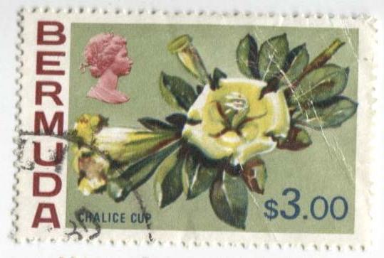 1975 Бермуда Цветок.3$.Михель - 12е.гаш