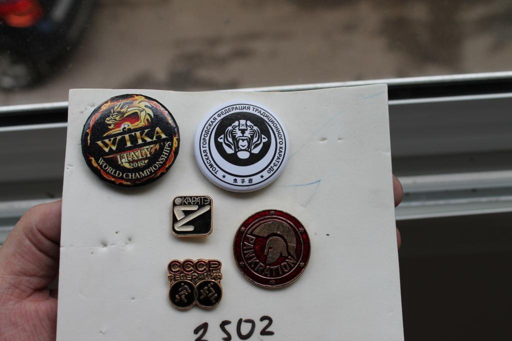 Знак БОРЬБА  Каратэ  любой на выбор №2502
