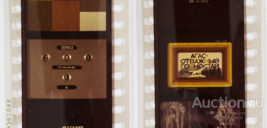 Диафильм  Агас-отважный горностай 1983 г (17)