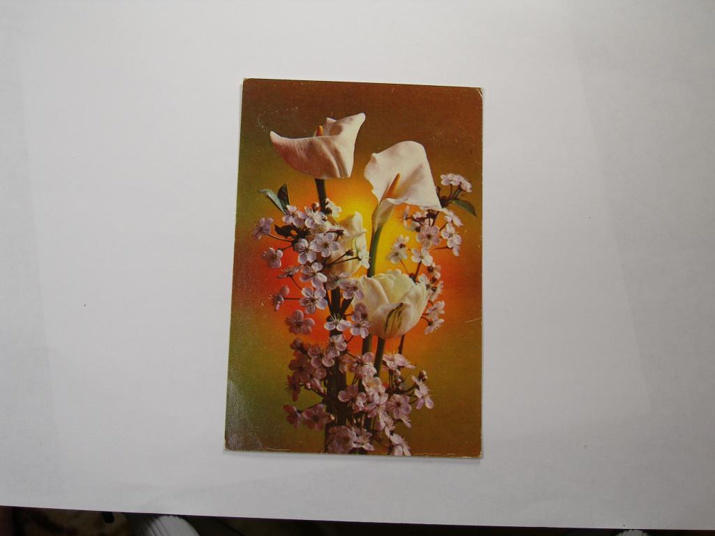 Открытка    С праздником!  1976г.