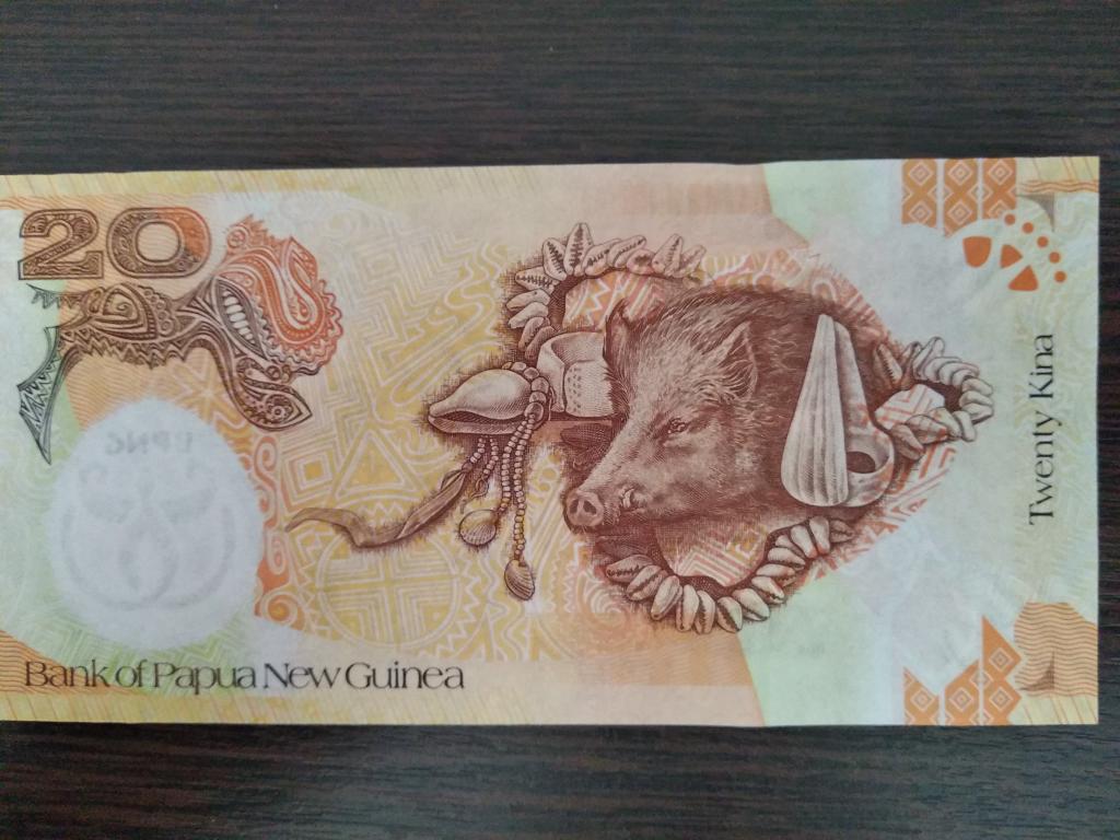 Банкноты.Папуа Новая Гвинея.2008.20 кина.Пресс